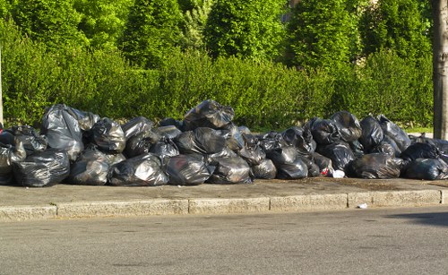 Professionals removing waste materials