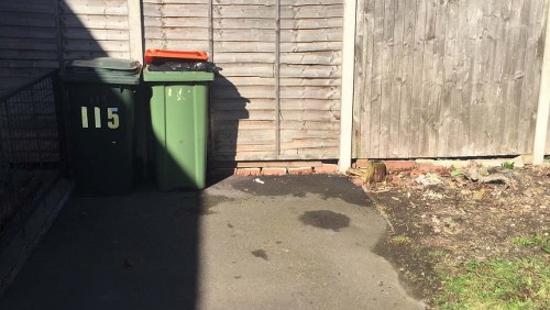 Professional garden waste removal service in action